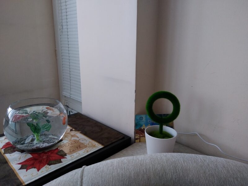 Image #2 from Нина Христова